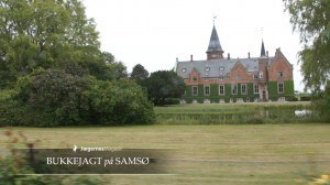 Bukkejagt på Samsø - Brattingsborg Gods